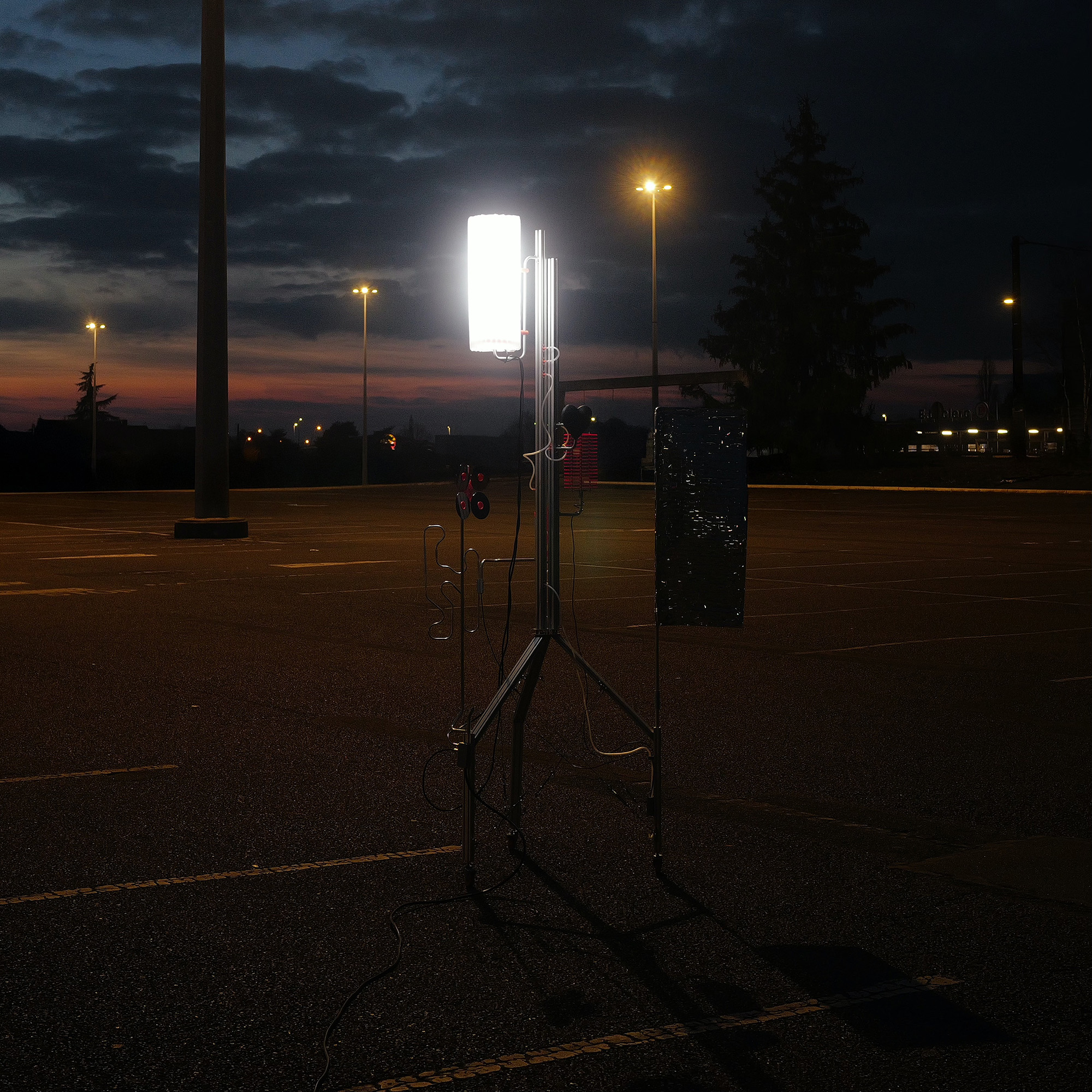 sculpture_on_the_supermarket_parking_lot